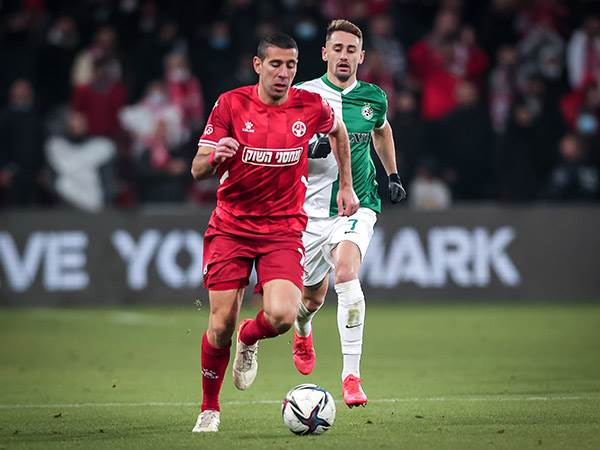 (מאור אלקסלסי)