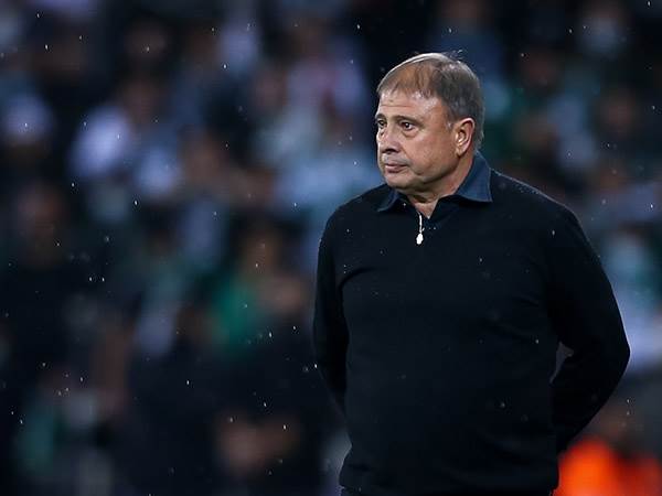 אלישע לוי. יסתדר בלי חיזוק (מאור אלקסלסי)