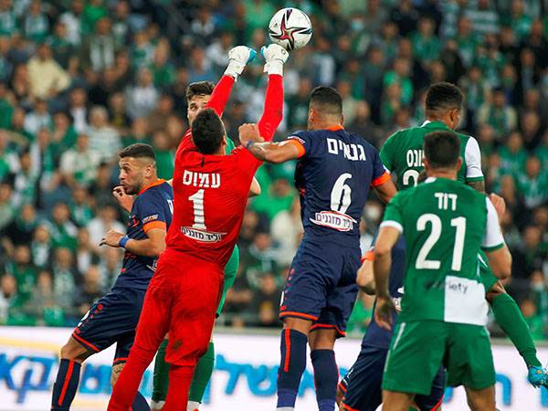 גד עמוס. הוצהב בשלב מוקדם (אלן שיבר)