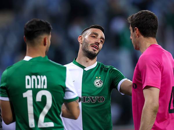 צפוי להמשיך. לביא (מאור אלקסלסי)