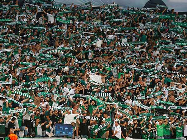 המתינו לו בציפייה (אלן שיבר)