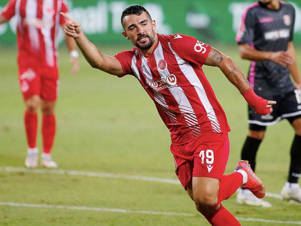 בדרך לנגב? (אלן שיבר)