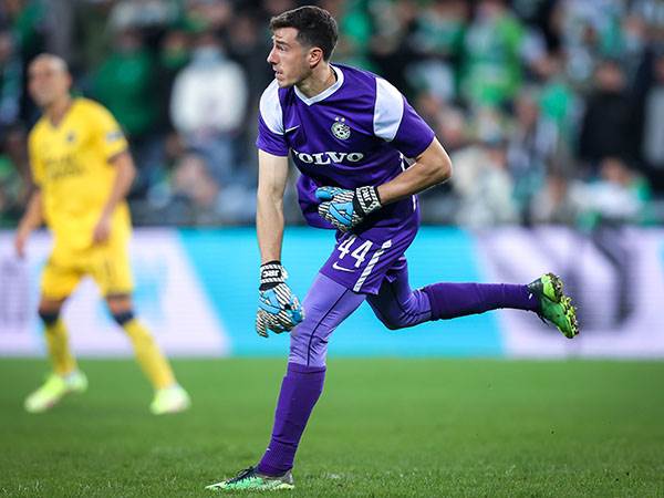 (מאור אלקסלסי)