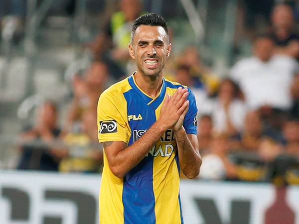 טרם החליט (אלן שיבר)