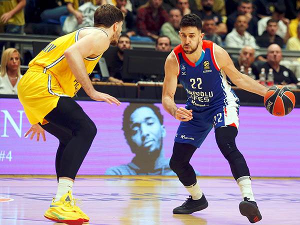 מיציץ' קפא (אלן שיבר)