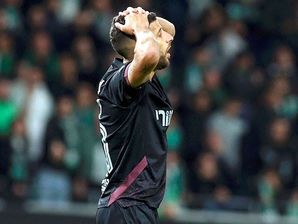 דור מיכה. החמצה ענקית (אלן שיבר)