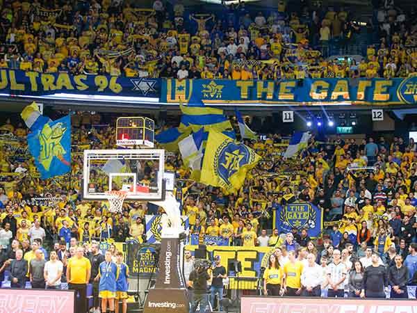 נוכחות שיא (אלן שיבר)