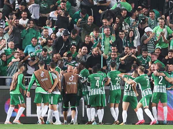 התשובה של חיפה (אלן שיבר)