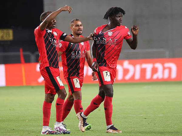 (ברני ארדוב)