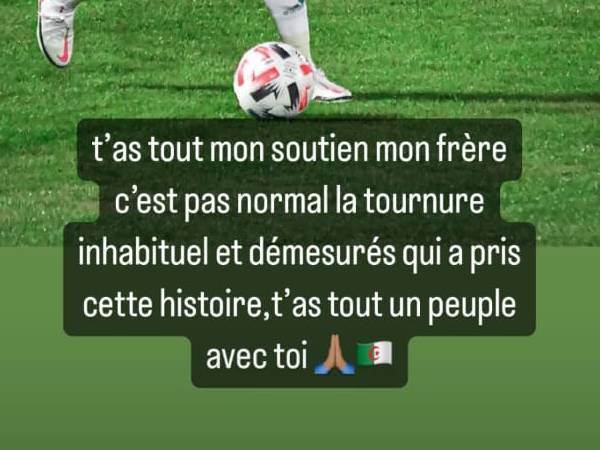 הסטורי של סלימאני