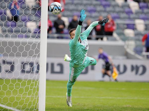 ניקוס ינאקופולוס (אלן שיבר)