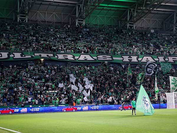 (מאור אלקסלסי)