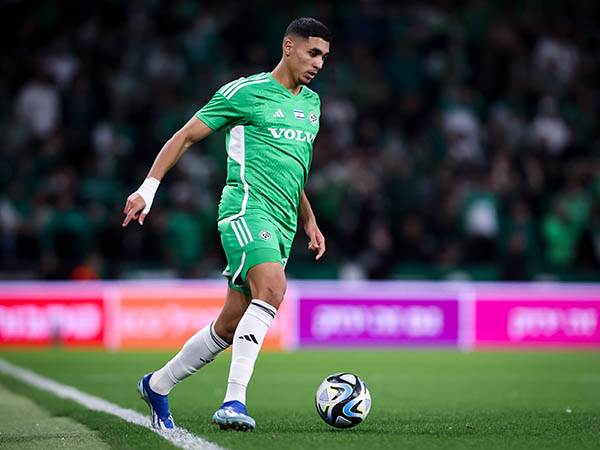 (מאור אלקסלסי)