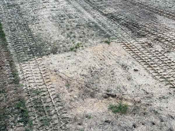 הדשא עבר קרקוף