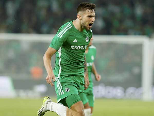 ההתחלה דווקא היתה מבטיחה (אלן שיבר)