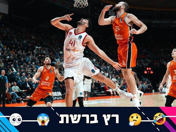 (אלן שיבר)