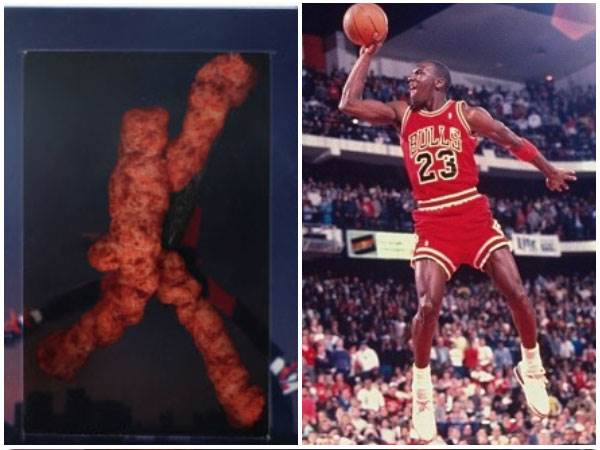 (GETTY, גולדין)