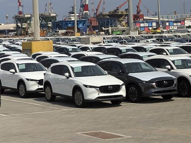 צילום: רן סגל