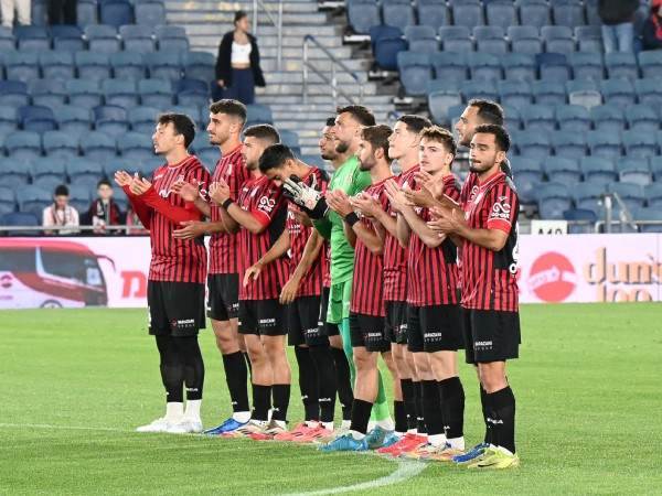 (ברני ארדוב)