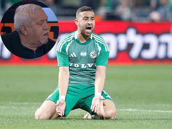 (צילום: אלן שיבר)