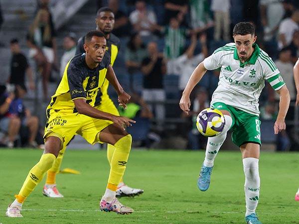 (מאור אלקסלסי)