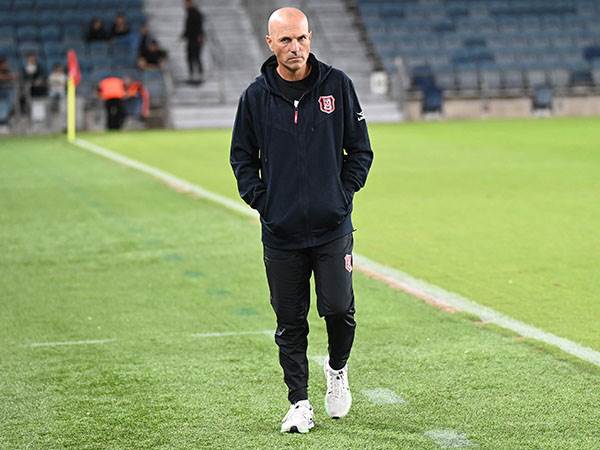 (ברני ארדוב)