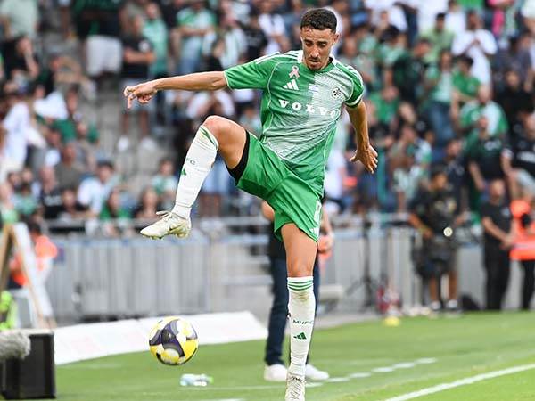 (ברני ארדוב)