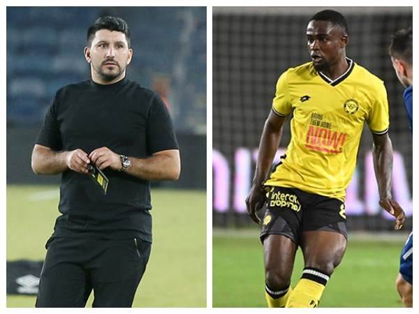 (אלן שיבר, ברני ארדוב)