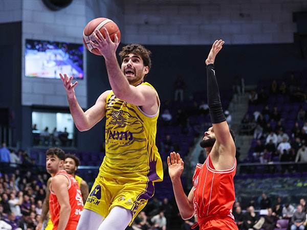 (ברני ארדוב)