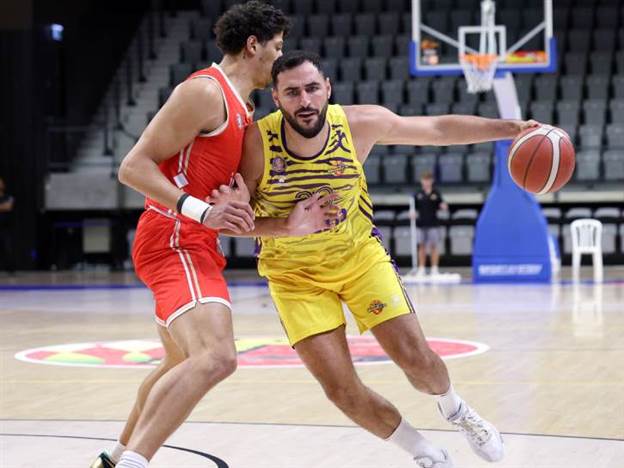 (צילום: אלן שיבר)