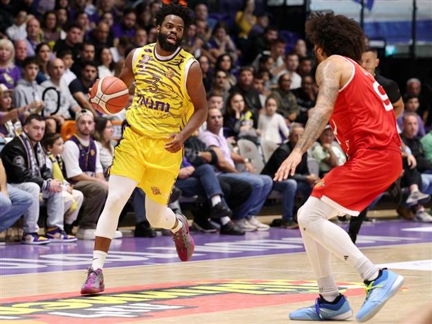 (צילום: אלן שיבר)