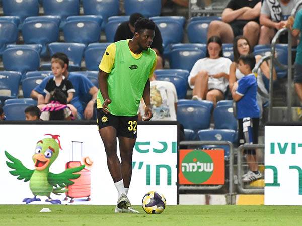 (ברני ארדוב)