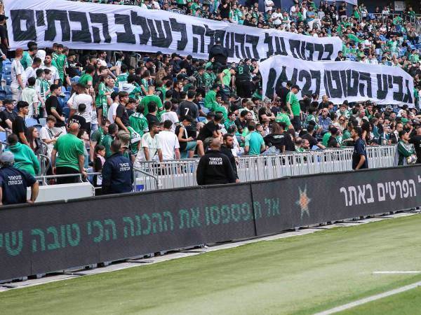 (מאור אלקסלסי)