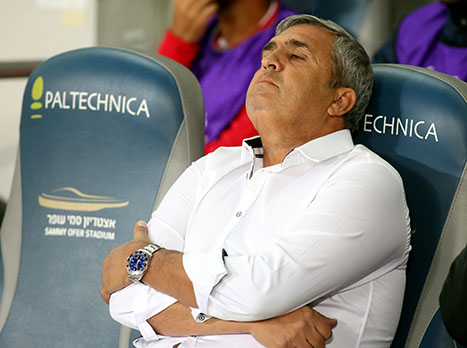 "ידעתי שהסיפור נגמר כשאלי כהן עזב" (צילום: יוסי שקל)