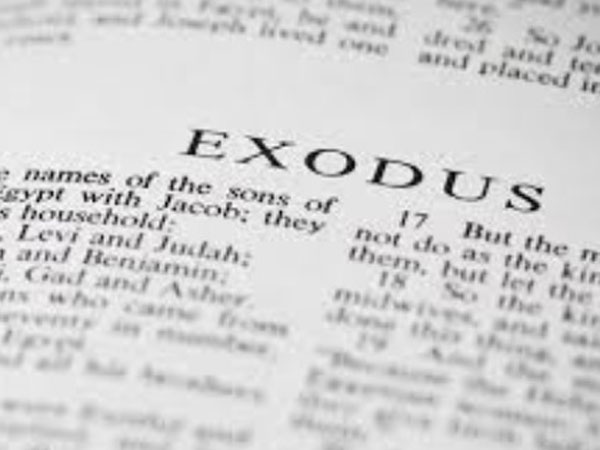 "התפללתי שהיא תכיר את הספר"