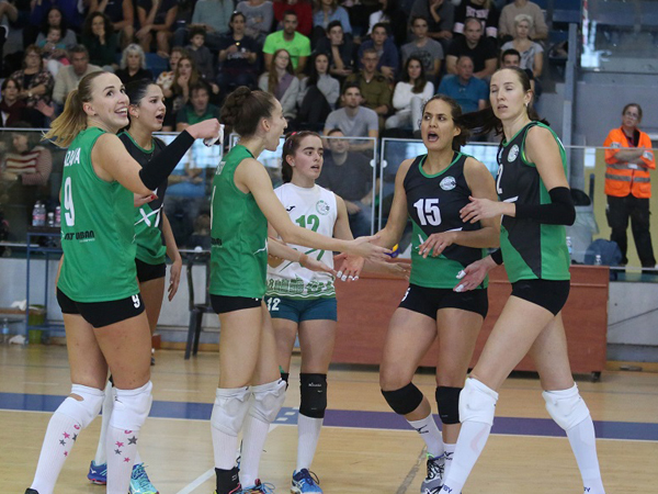 (איגוד הכדורעף)