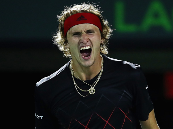 זברב בטירוף ואפשר להבין למה (getty)