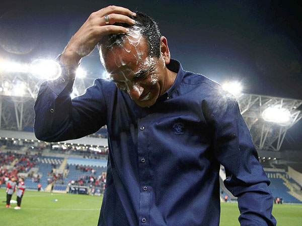 וזו התוצאה (אלן שיבר)