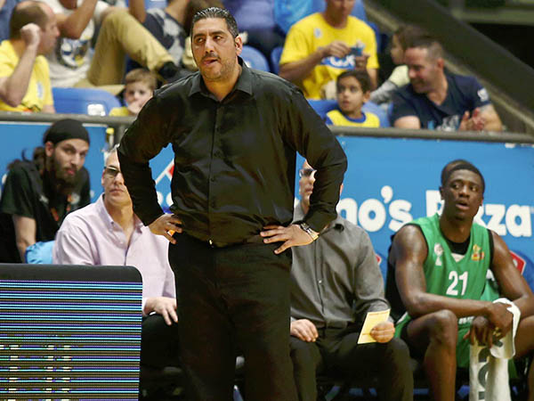 גם המאמנים נפגעים (אלן שיבר)