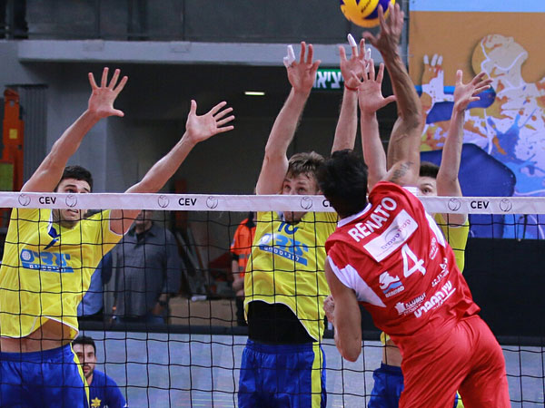 (איגוד הכדורעף)