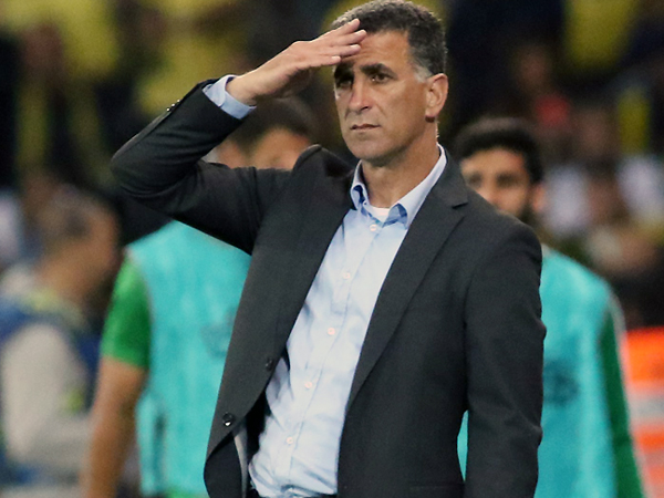 יומיים של משא ומתן הספיקו. בלבול (צילום: יוסי שקל)