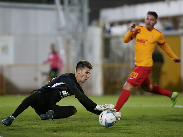 בכורה סבירה לאגוזי (אלן שיבר)