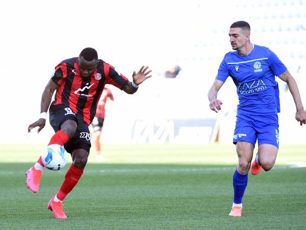 (ברני ארדוב)