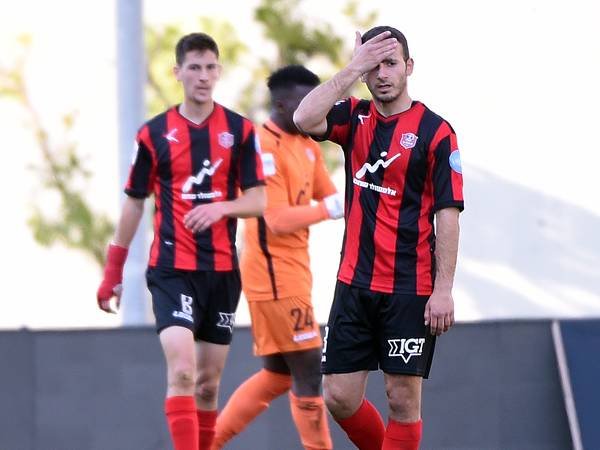 (ברני ארדוב)