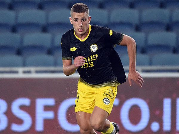 (ברני ארדוב)