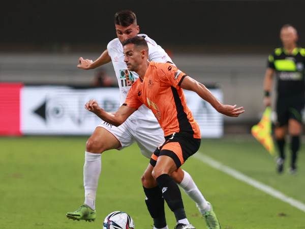 (צילום: ניר קידר)