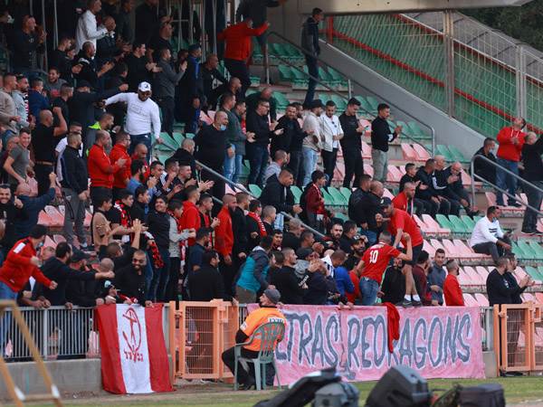 (צילום: ניר קידר)