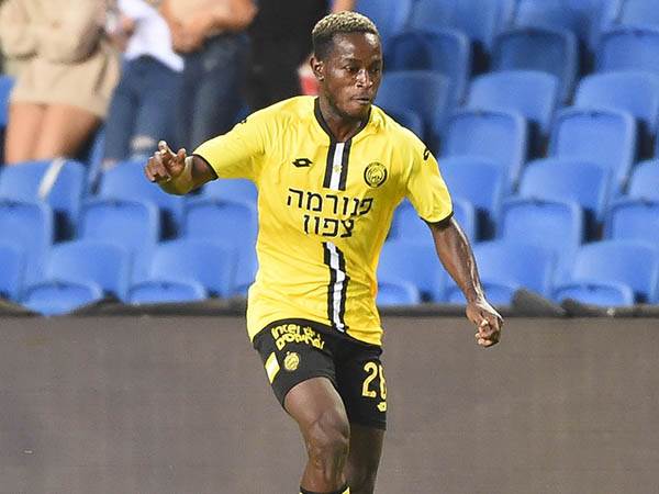 (ברני ארדוב)