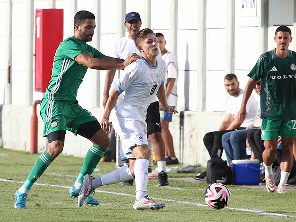 (אודי ציטיאט)