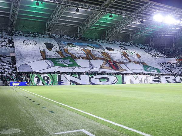 (מאור אלקסלסי)